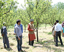 Learning from Apple Growers in Ratnipora, District Pampore, J & K, May 2014
