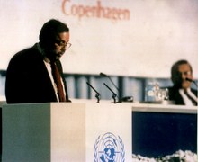 plenary of the UN Summmit on Social Development, Copenhagen 1995